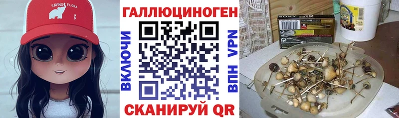 Галлюциногенные грибы MAGIC MUSHROOMS  Владикавказ 