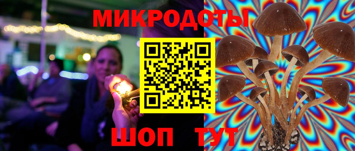 Псилоцибиновые грибы MAGIC MUSHROOMS Владикавказ