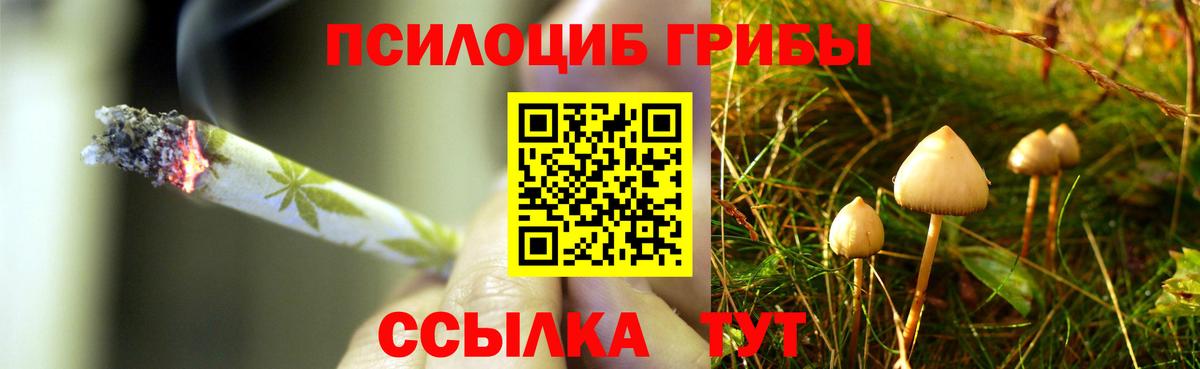 Владикавказ  дарнет шоп  Псилоцибиновые грибы GOLDEN TEACHER  Вход с VPN  Галлюциногенные грибы прущие грибы 