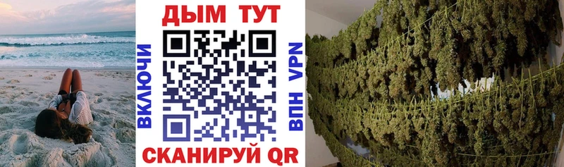 купить   OMG ссылки  Бошки марихуана Amnesia  Владикавказ 